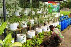 Demplot BIOS 44 Kodim 0619 Purwakarta.